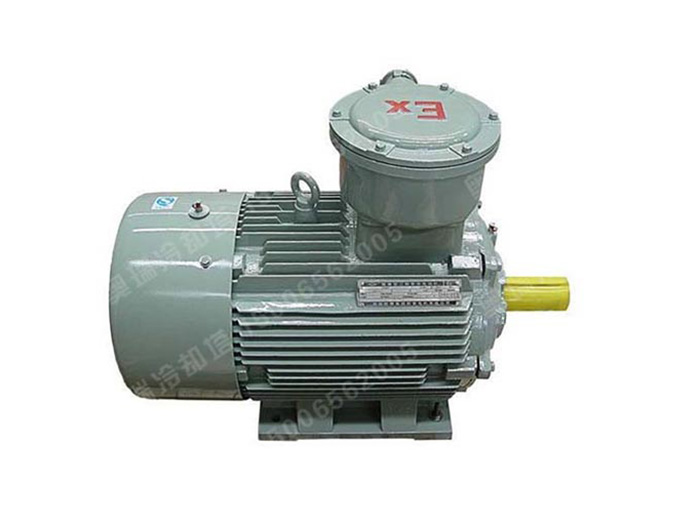 防爆外傳動(dòng)電機